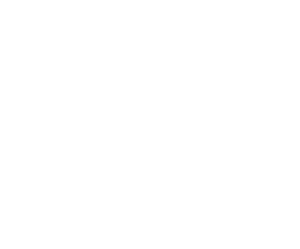 Go westy camper van logo white png